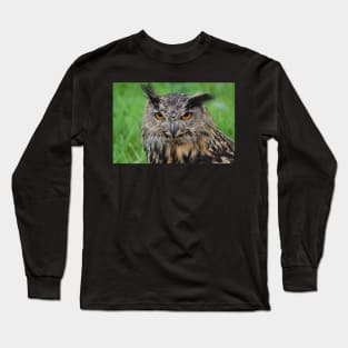 european eagle owl Long Sleeve T-Shirt